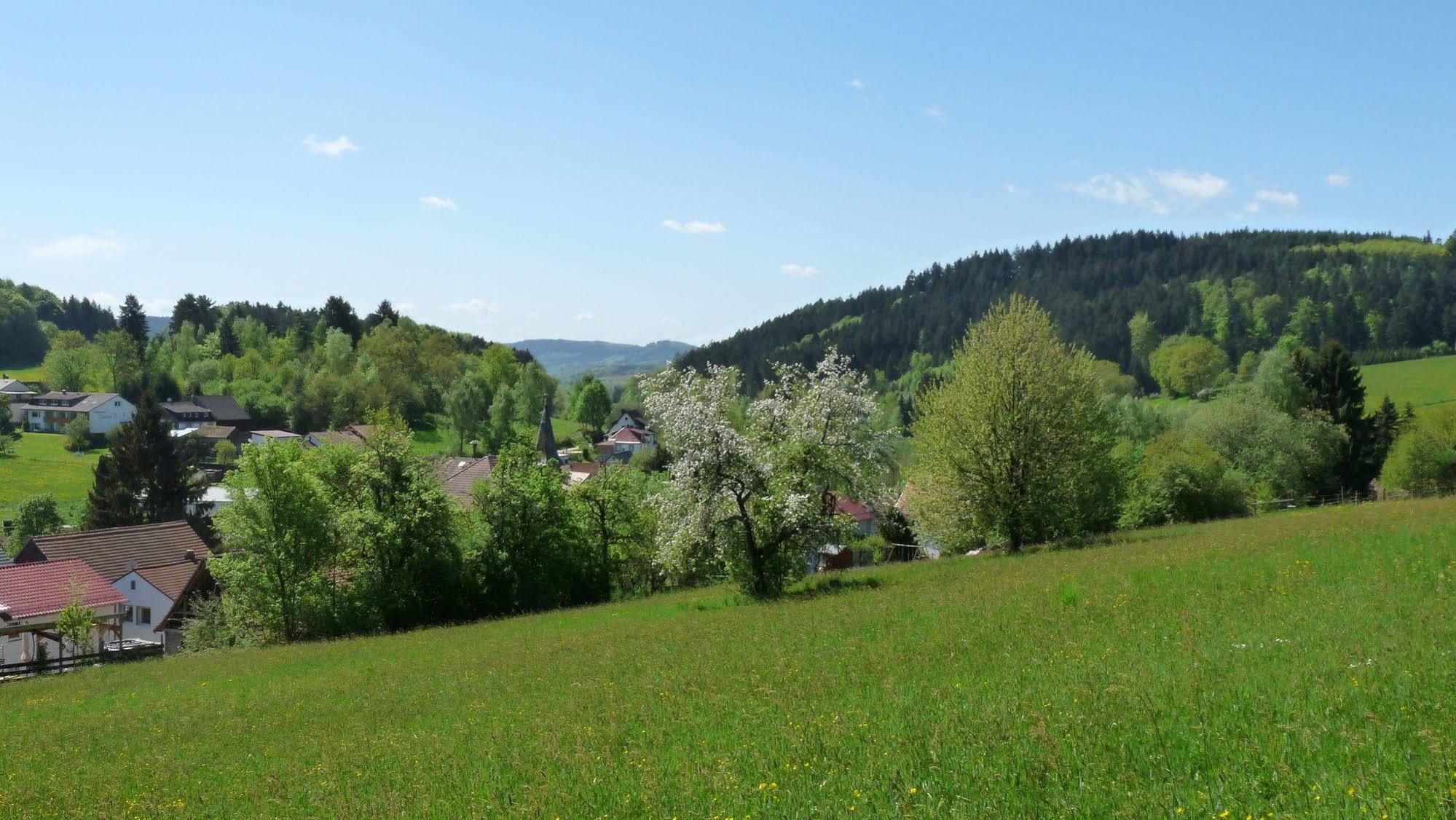 Grasellenbach Ringhotel Siegfriedbrunnen المظهر الخارجي الصورة